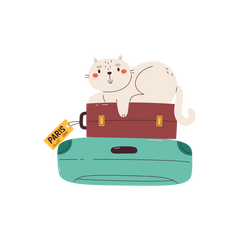 Collection image for: Travel Essentials