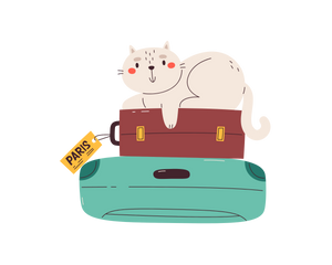 Collection image for: Travel Essentials
