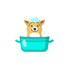 Collection image for: Pet Care & Hygiene