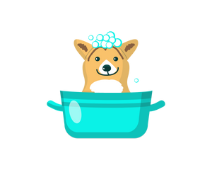 Collection image for: Pet Care & Hygiene