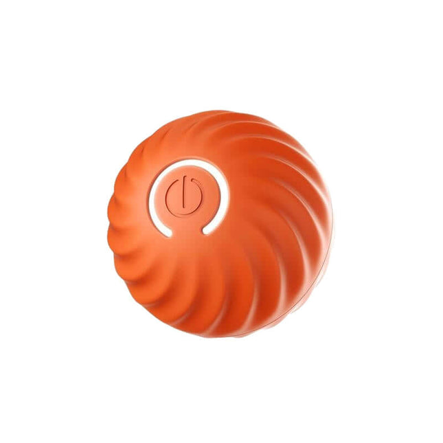 Interactive Ball Toy - HamsterExpress